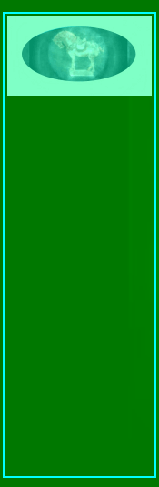 090727_russel_wright_mid_century_modern_melmac_ink_bottles001031.gif